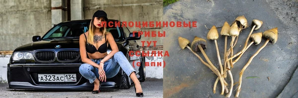 первитин Мегион