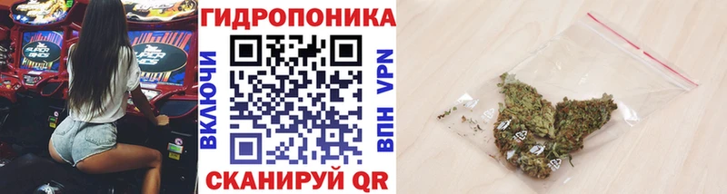 Конопля семена  где купить наркоту  Отрадная 